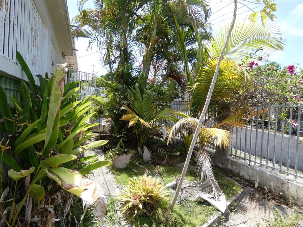 491 CALLE GLADIOLA — photo 3 of 26