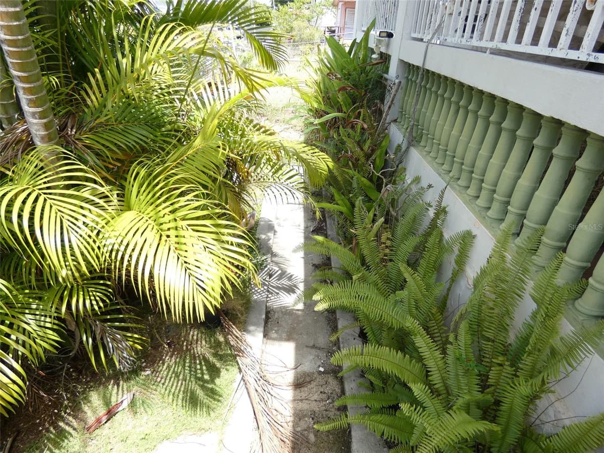 491 CALLE GLADIOLA — photo 2 of 26