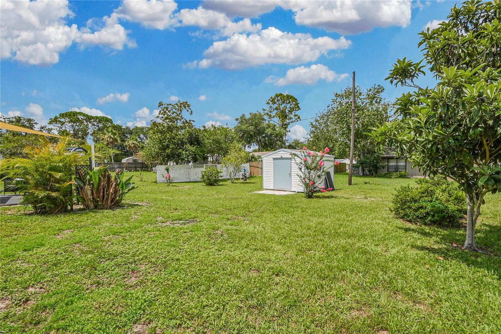 2820 SABAL PALM DRIVE — photo 39 of 44