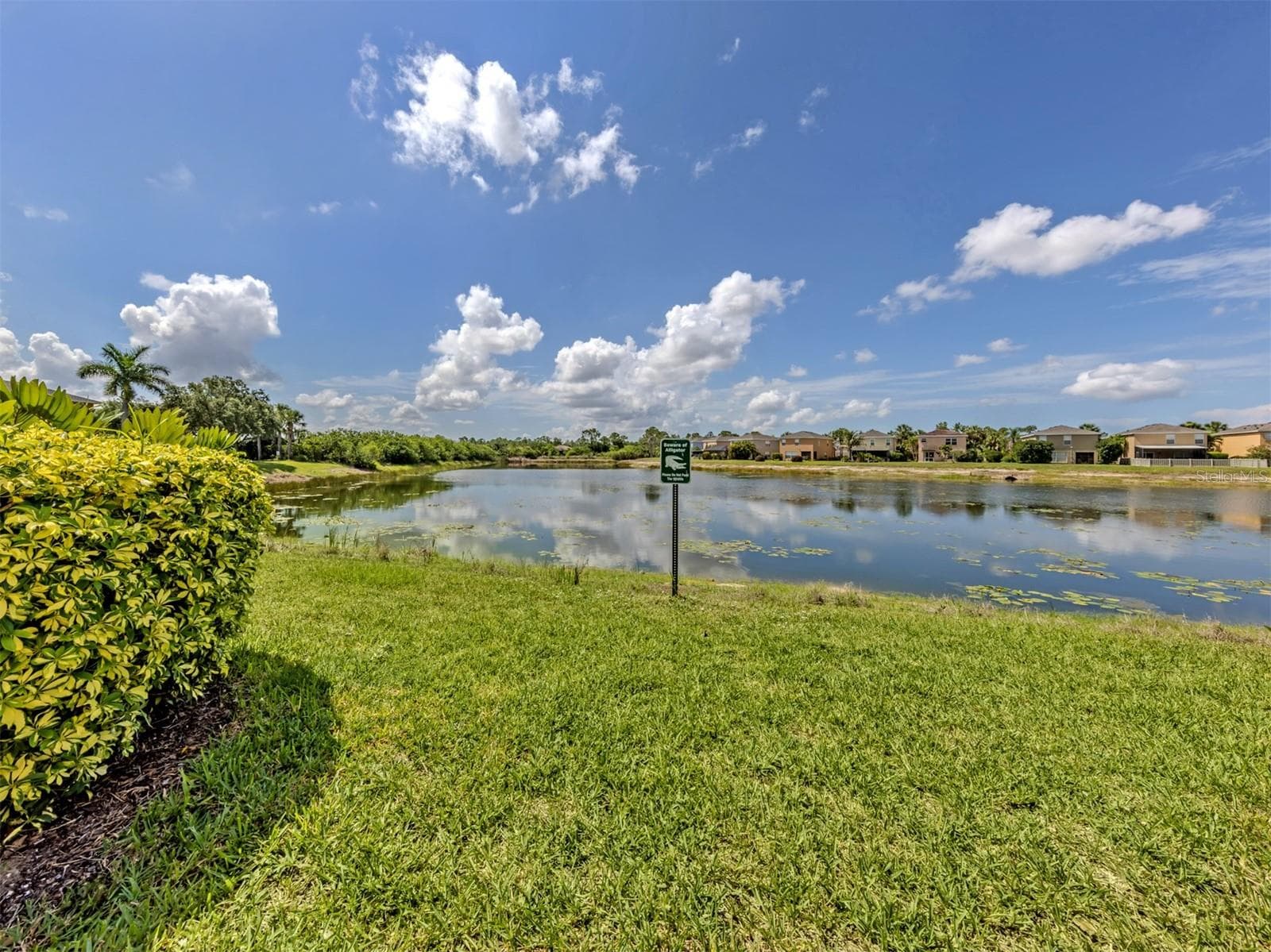12983 TIGERS EYE DRIVE — photo 5 of 65