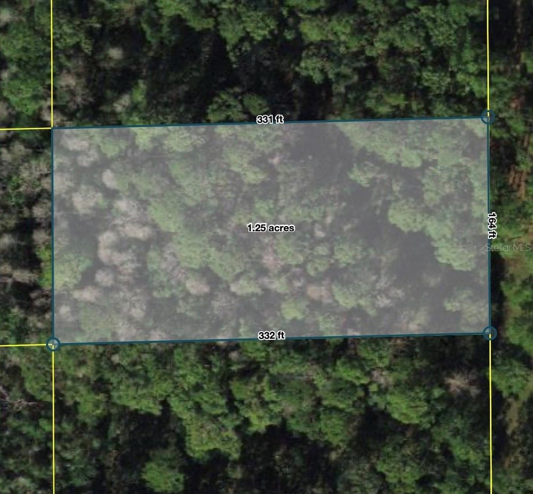 POLK CITY — photo 1 of 8