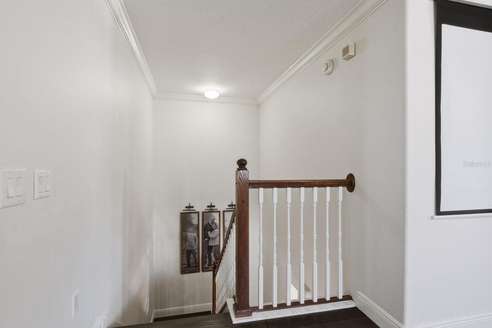 10330 FROG POND DRIVE — photo 45 of 53