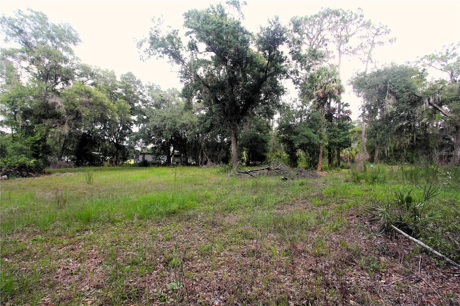 38319 COUNTY LINE ROAD — photo 4 of 8