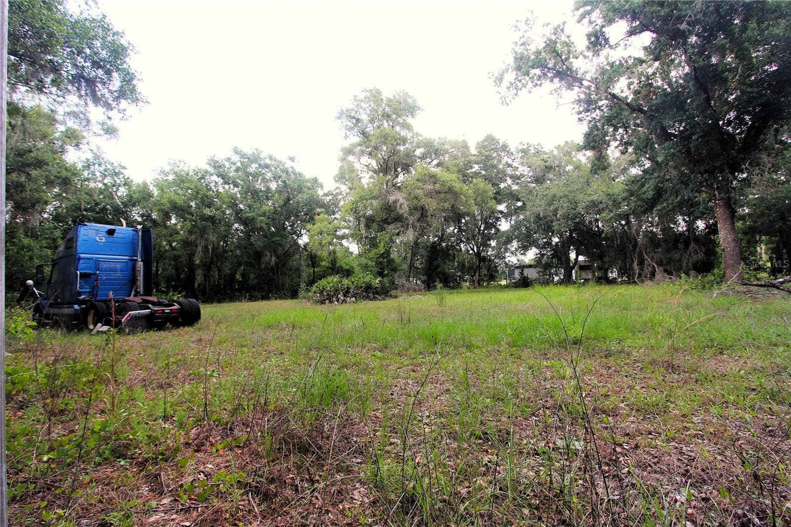 38319 COUNTY LINE ROAD — photo 3 of 8