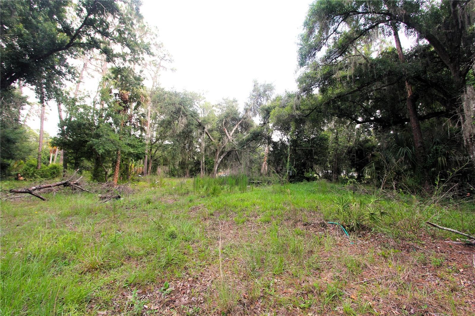 38319 COUNTY LINE ROAD — photo 7 of 8