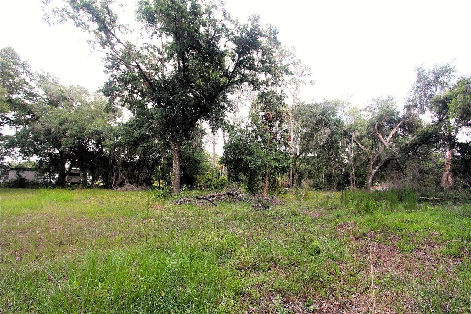 38319 COUNTY LINE ROAD — photo 8 of 8