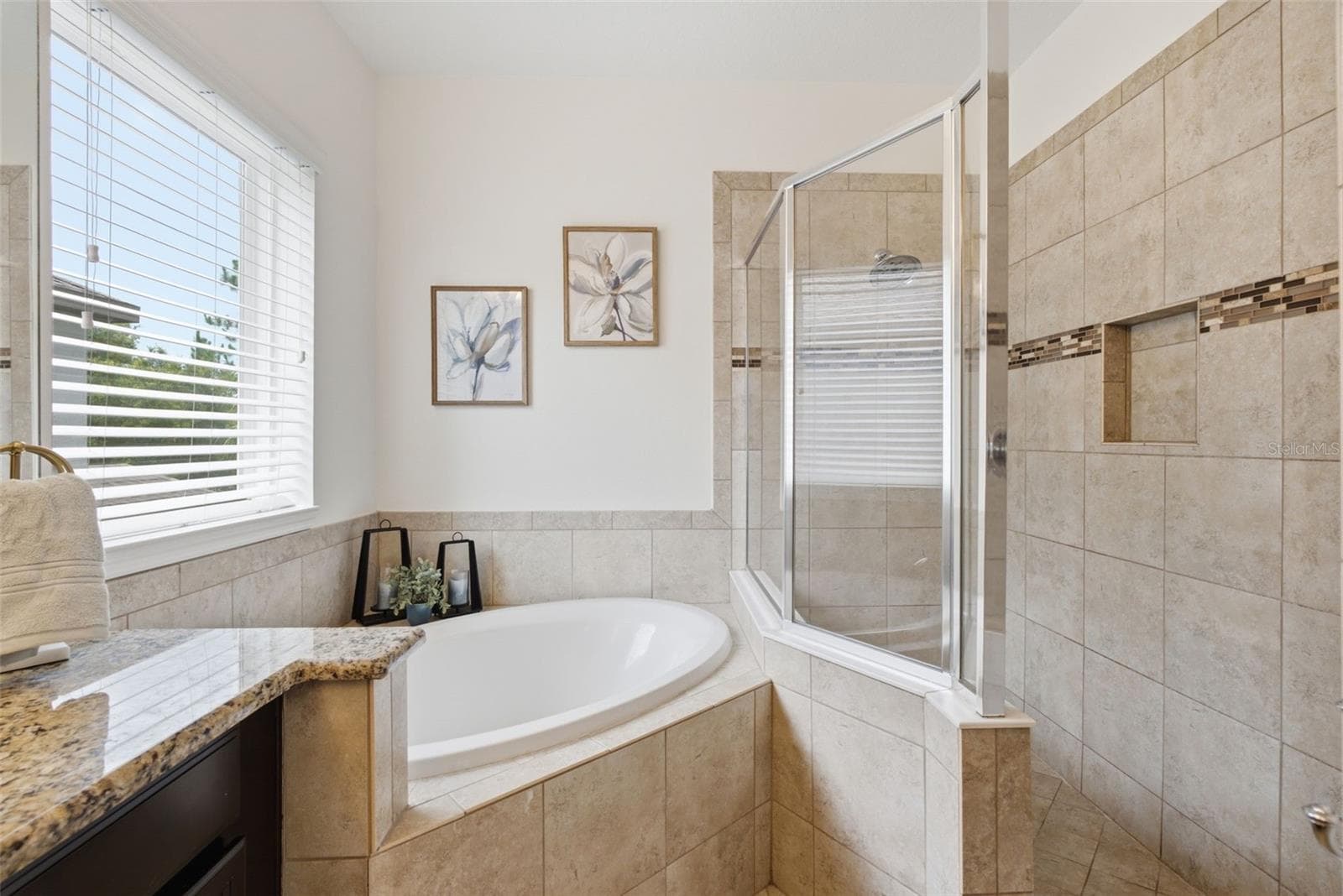 9323 BELLA VITA CIRCLE — photo 41 of 82