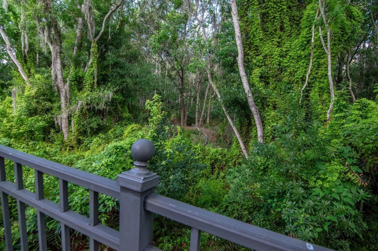 3815 MISTY WILLOW WAY — photo 47 of 66