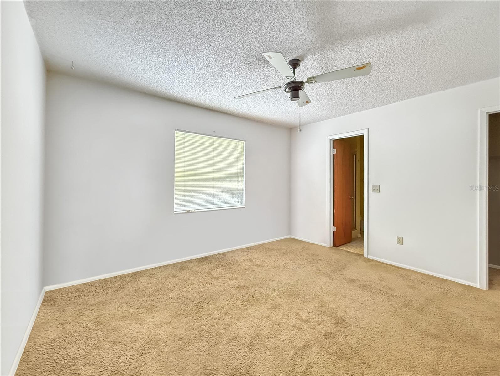 6904 WILLIAMS ROAD — photo 11 of 19