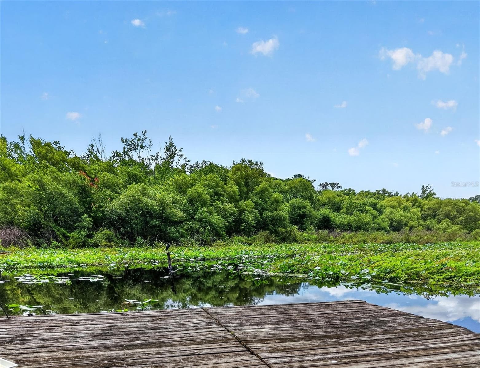 32589 OKALOOSA TRAIL — photo 40 of 46