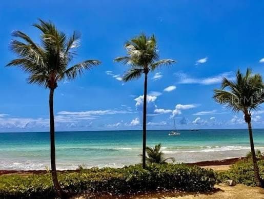 Palmas del Mar FAIRLAKES VILLAGE — photo 4 of 20