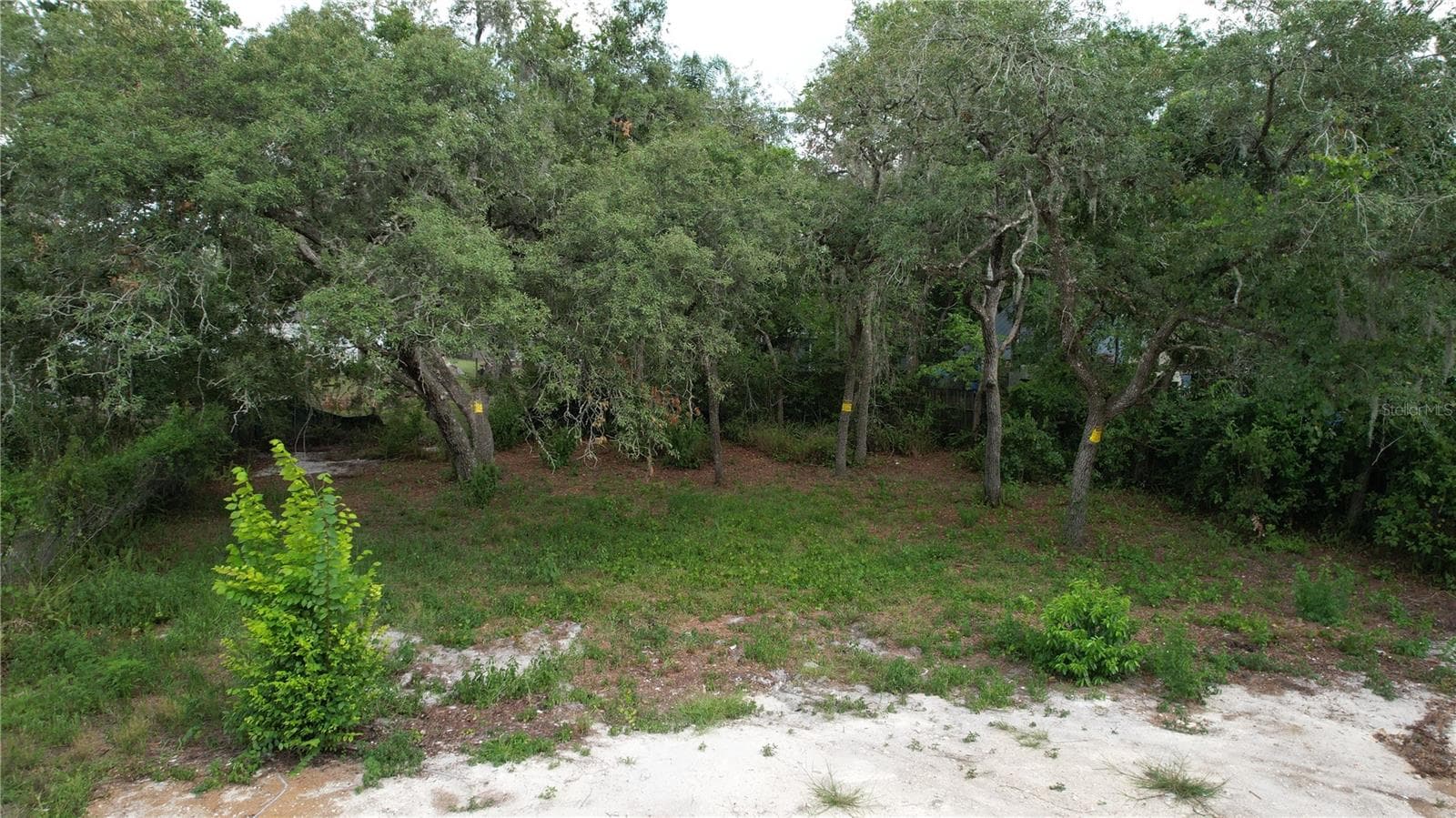 11406 POLO STREET — photo 4 of 7