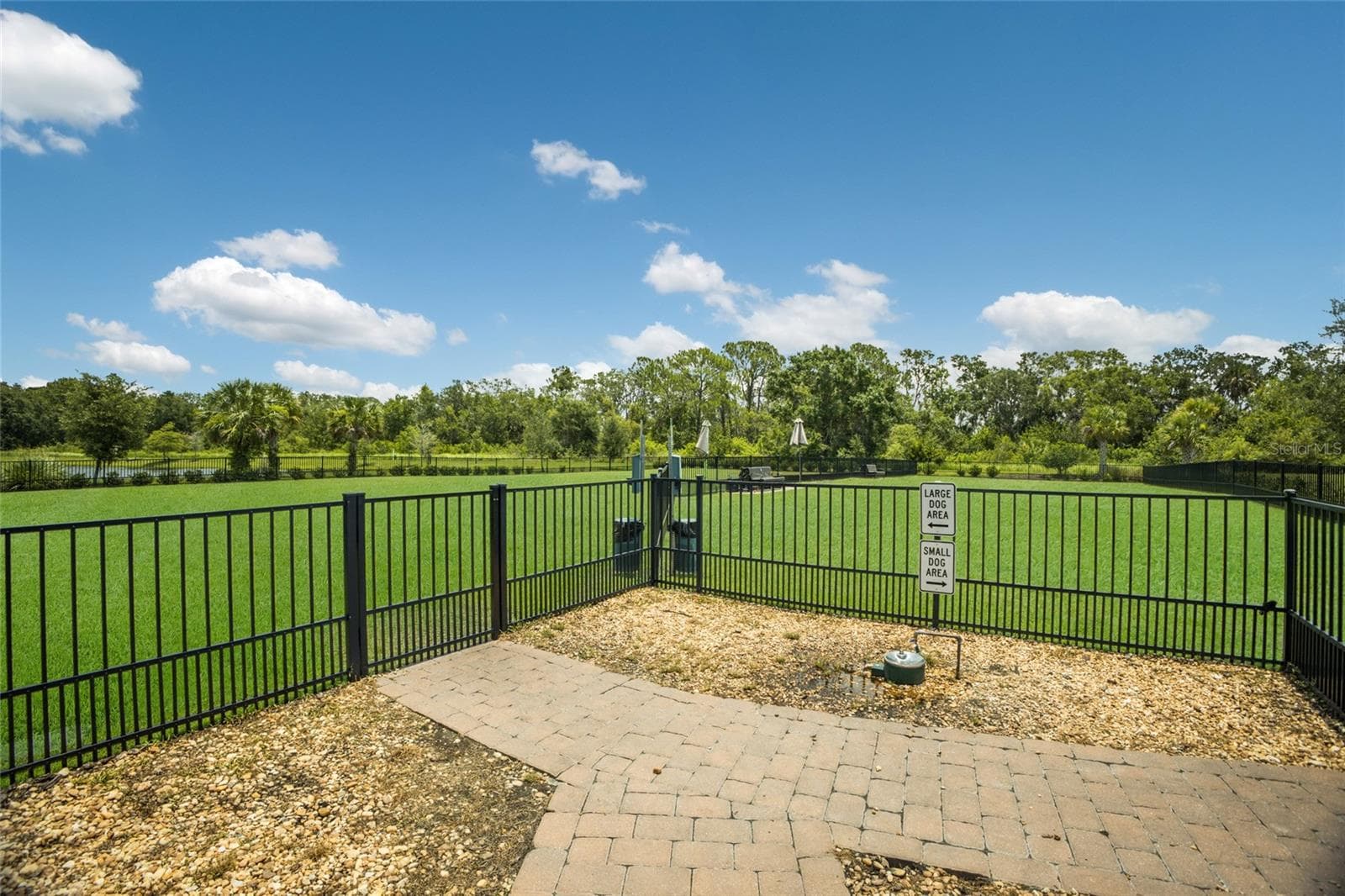 3533 BIG SKY WAY — photo 83 of 85