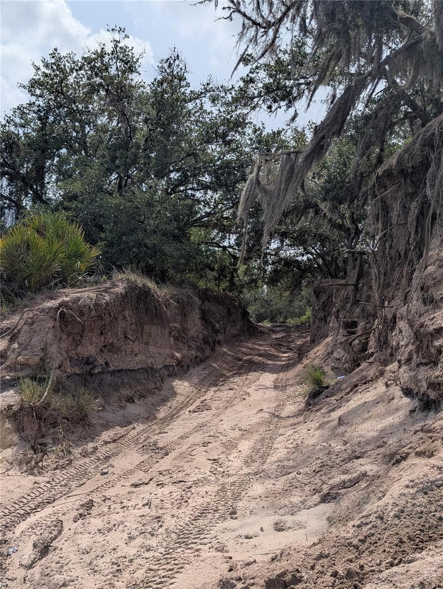 HOLOPAW GROVES ROAD — photo 35 of 46