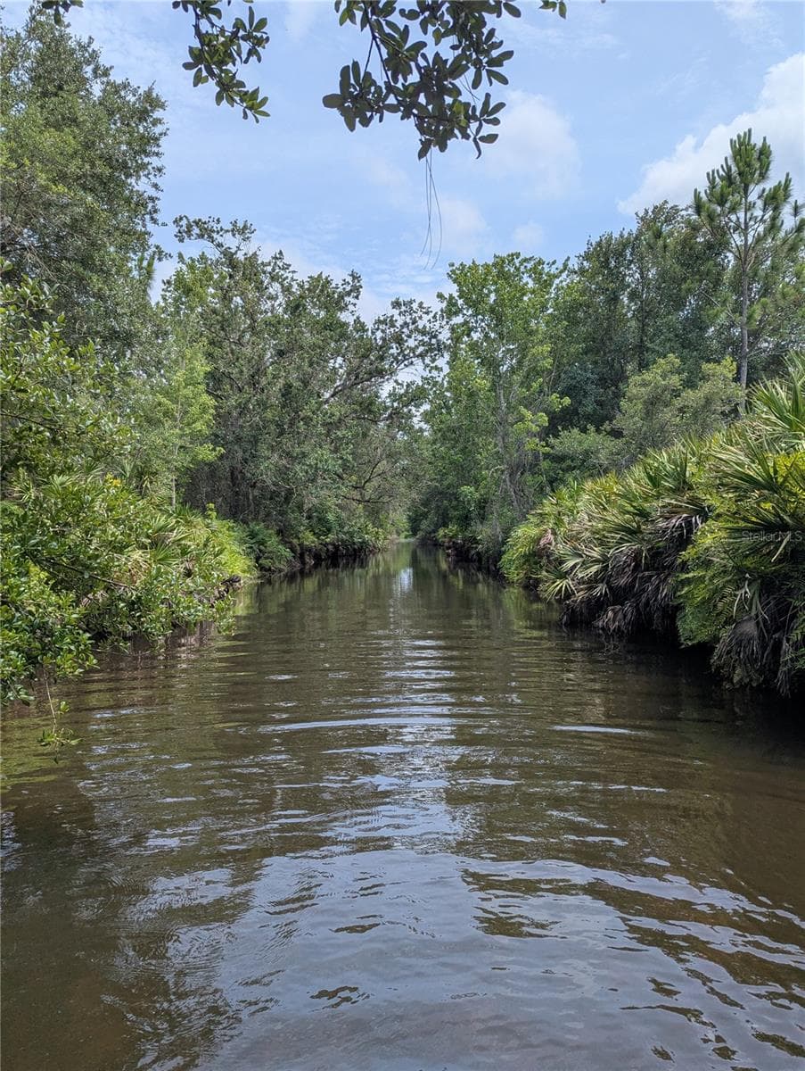 HOLOPAW GROVES ROAD — photo 33 of 46