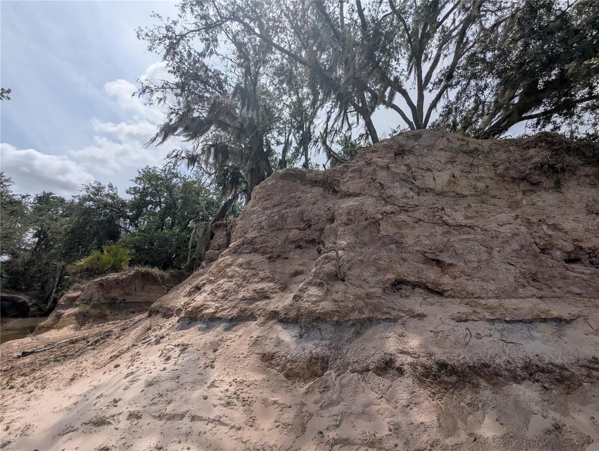 HOLOPAW GROVES ROAD — photo 34 of 46