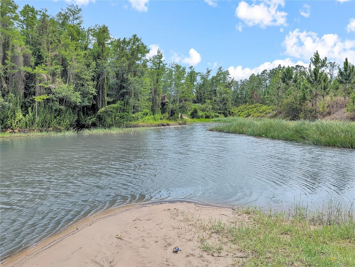 HOLOPAW GROVES ROAD — photo 29 of 46