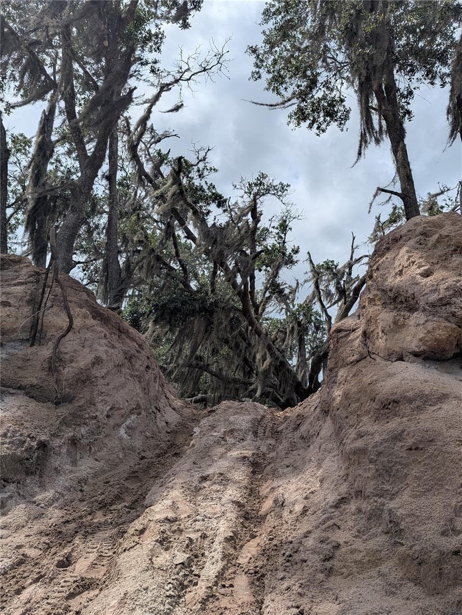 HOLOPAW GROVES ROAD — photo 36 of 46