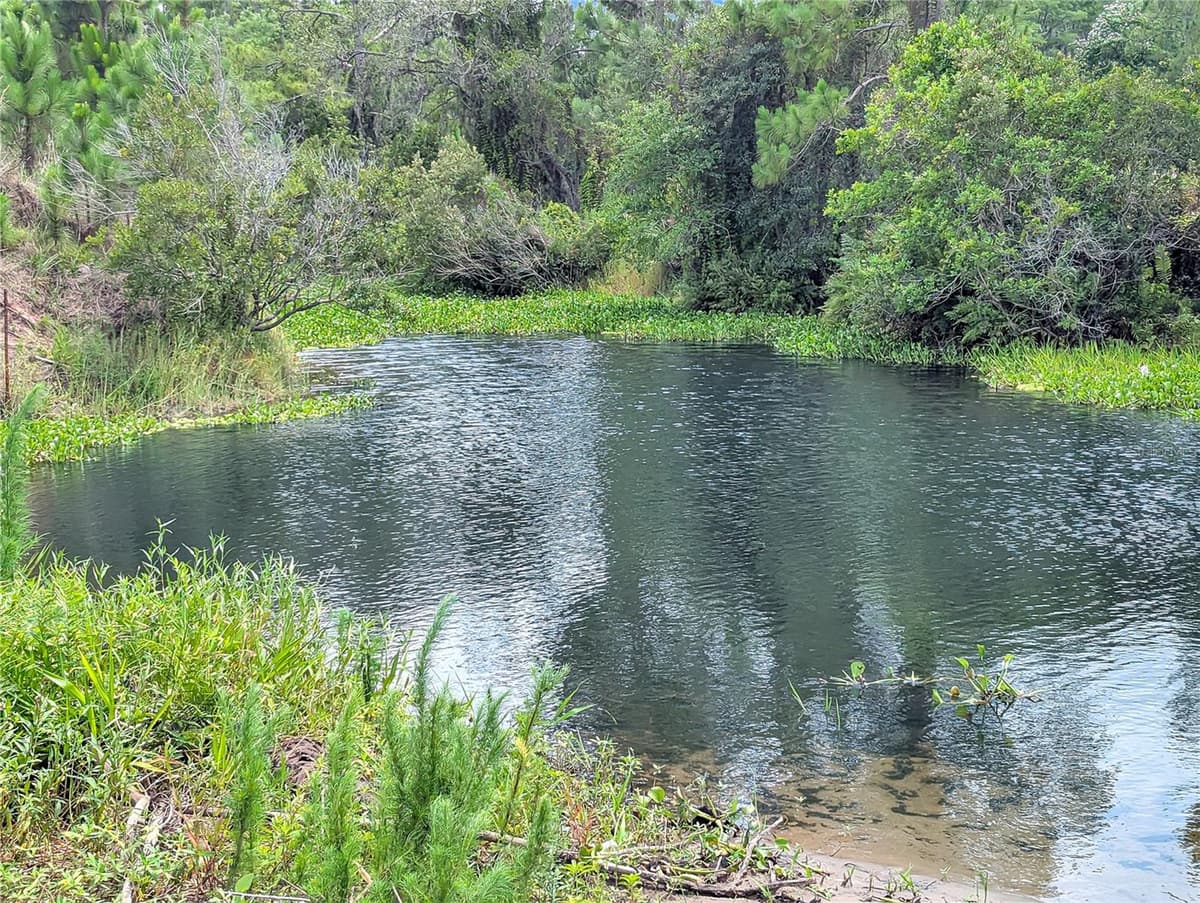 HOLOPAW GROVES ROAD — photo 30 of 46
