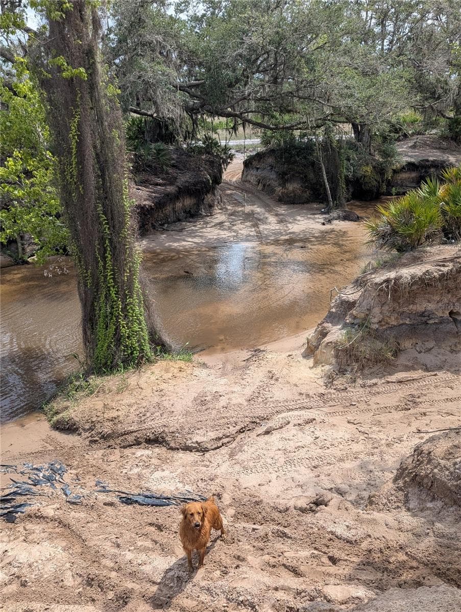 HOLOPAW GROVES ROAD — photo 37 of 46
