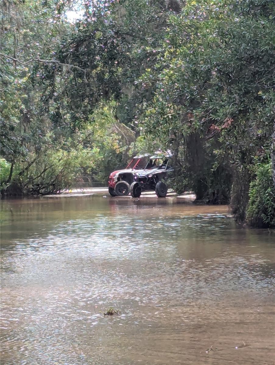 HOLOPAW GROVES ROAD — photo 41 of 46