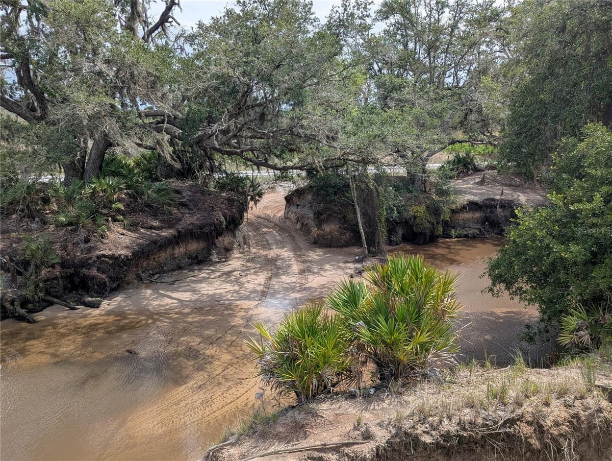 HOLOPAW GROVES ROAD — photo 39 of 46