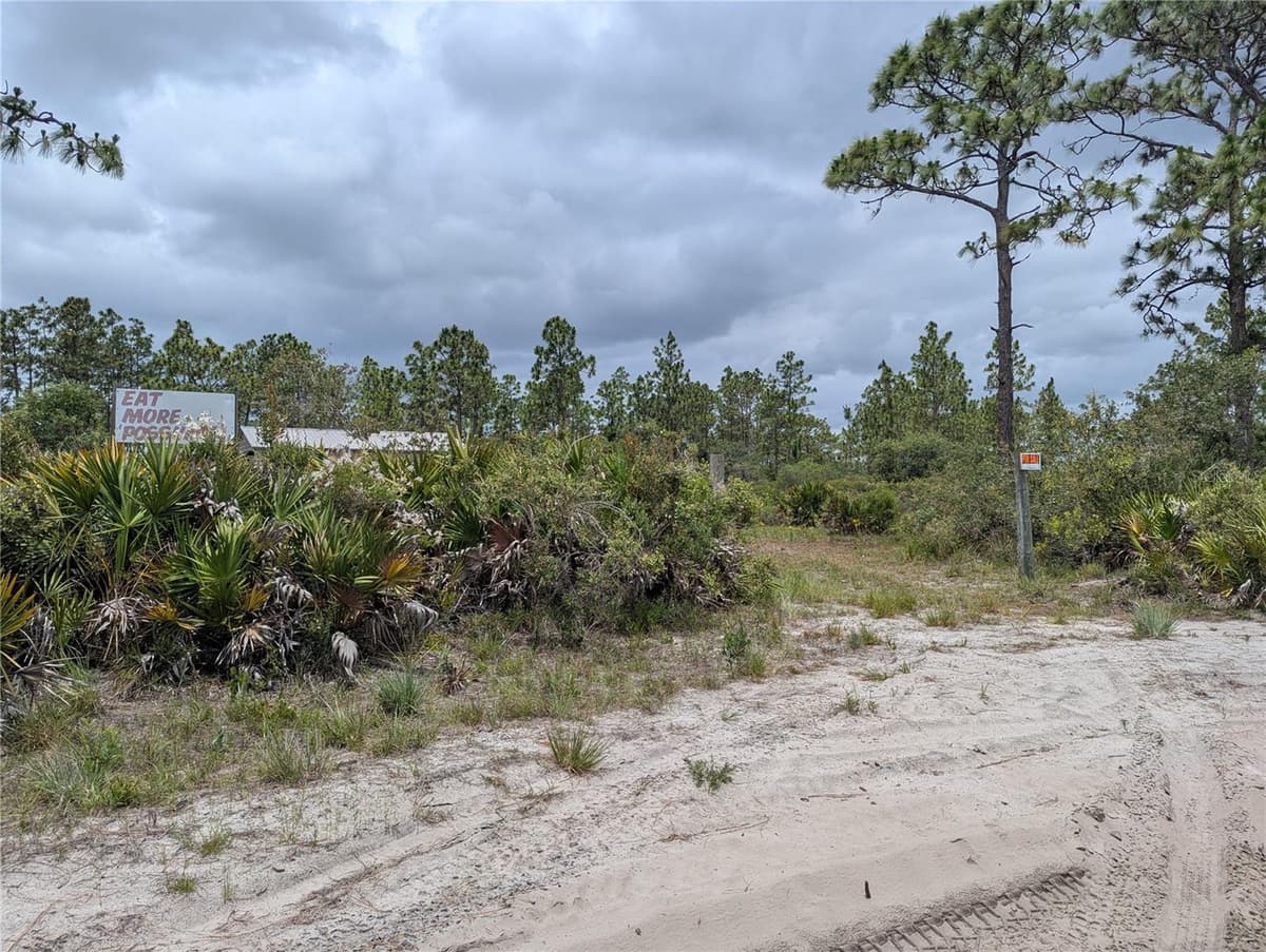 HOLOPAW GROVES ROAD — photo 31 of 46