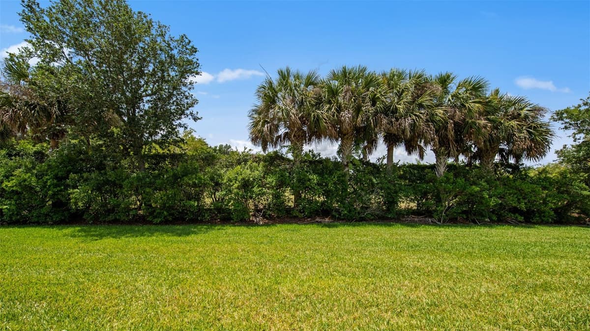 11540 VERANDAH PALM COURT — photo 25 of 41