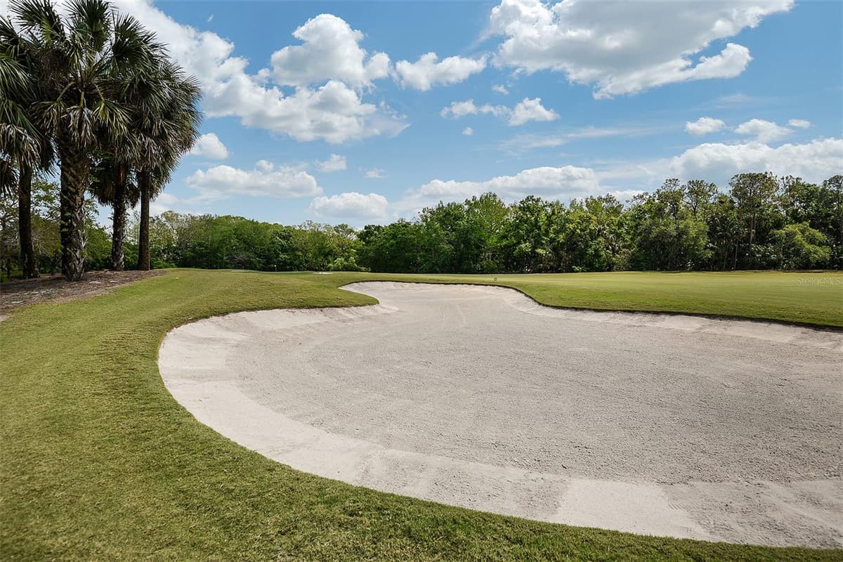 11540 VERANDAH PALM COURT — photo 40 of 41