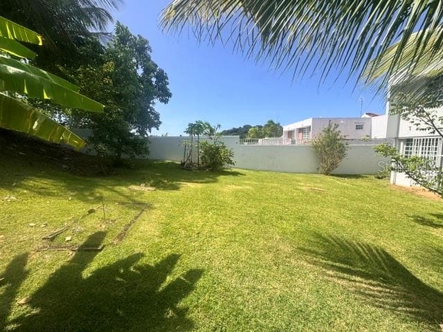 03 RIO MAMEYES — photo 2 of 25