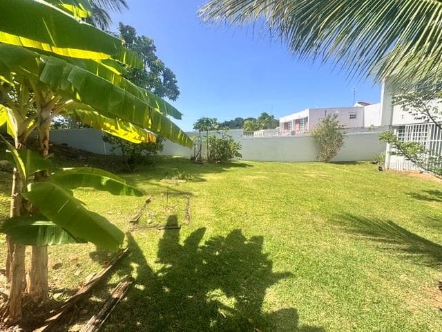 03 RIO MAMEYES — photo 3 of 25