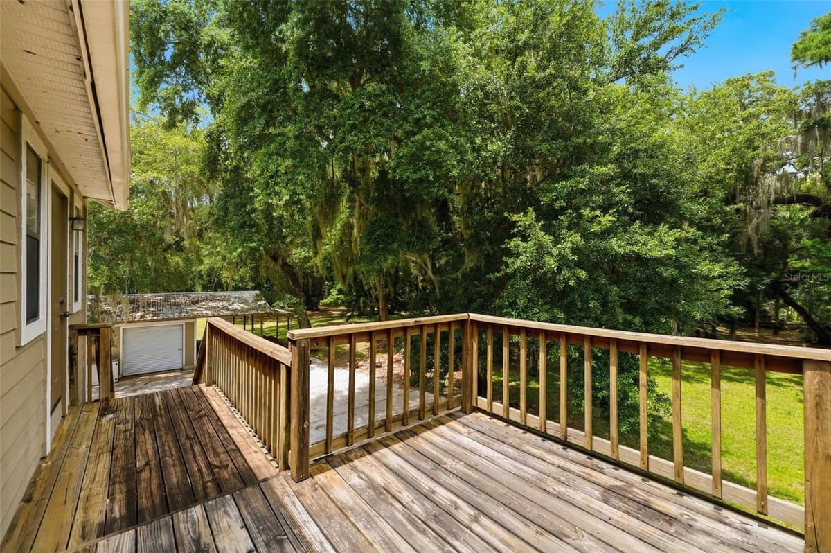 381 JUNGLE ROAD — photo 37 of 56