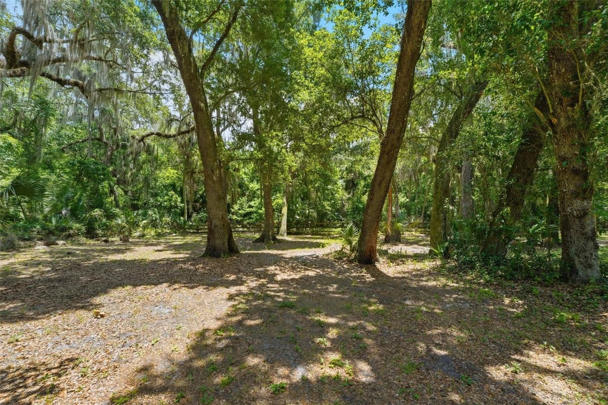 381 JUNGLE ROAD — photo 45 of 56