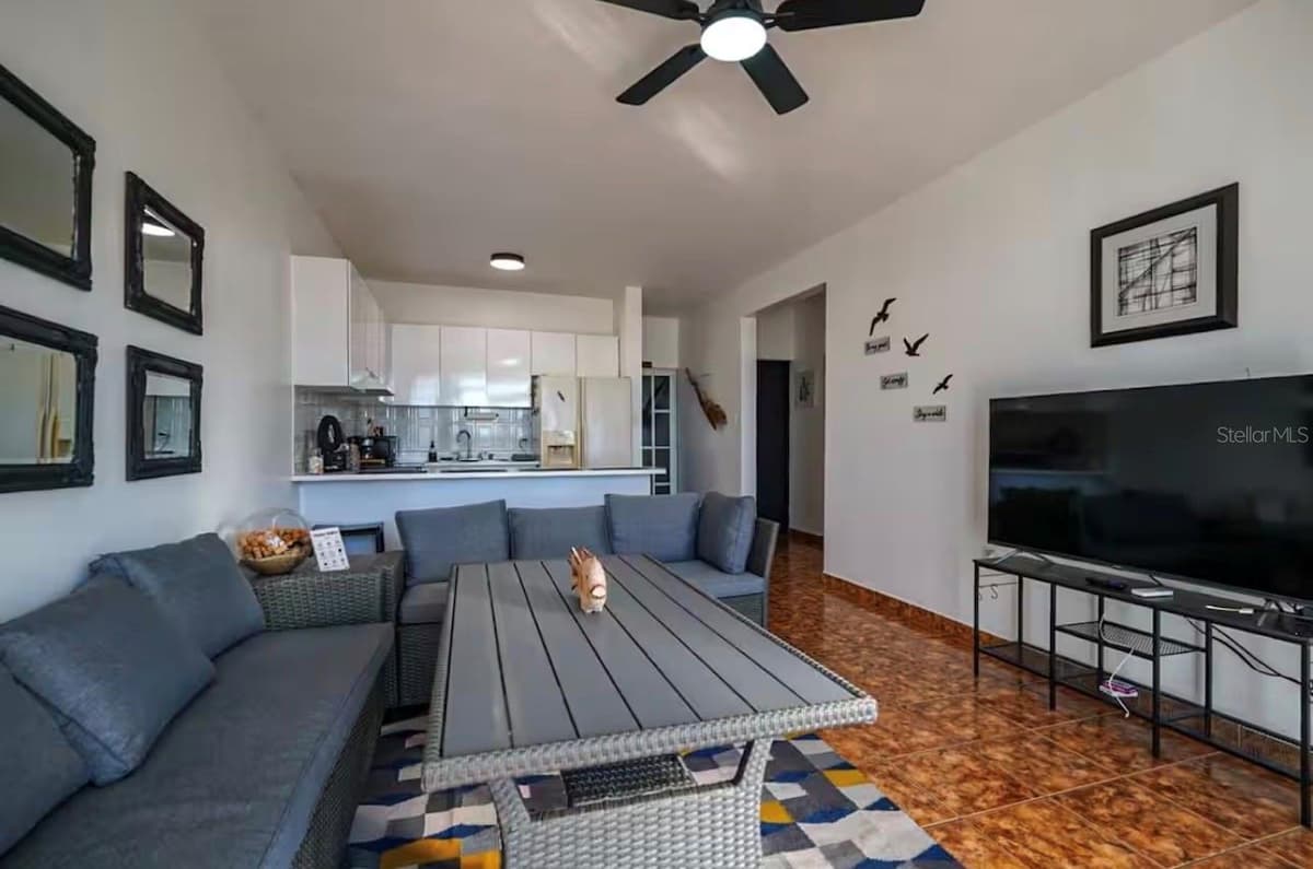 Apt 202 MANUEL GUILLOTY / LIBREVATO MONTALVO — photo 10 of 18