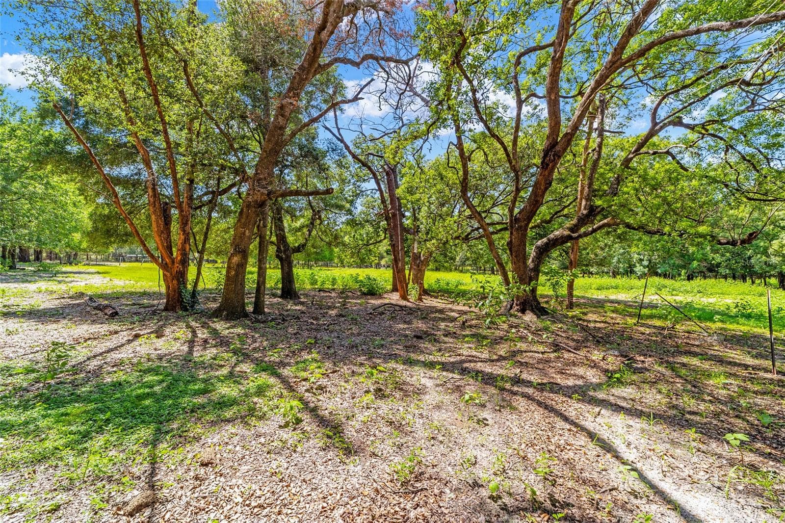 11768 GATLEN AVENUE — photo 32 of 50