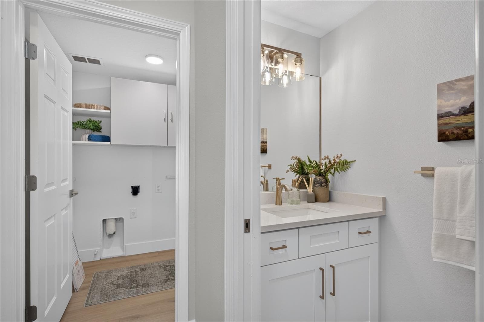 24133 DENALI COURT — photo 51 of 67