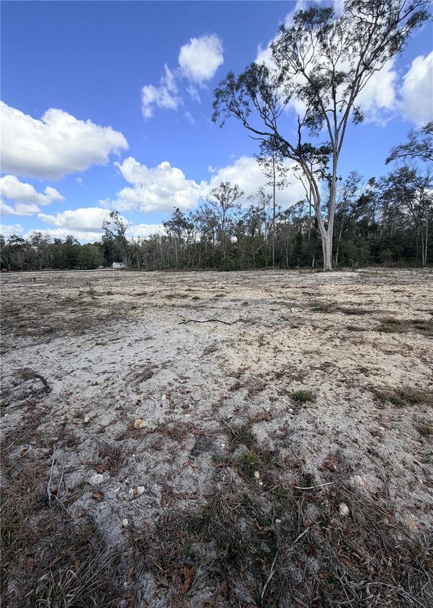 163 159TH AVENUE — photo 4 of 11