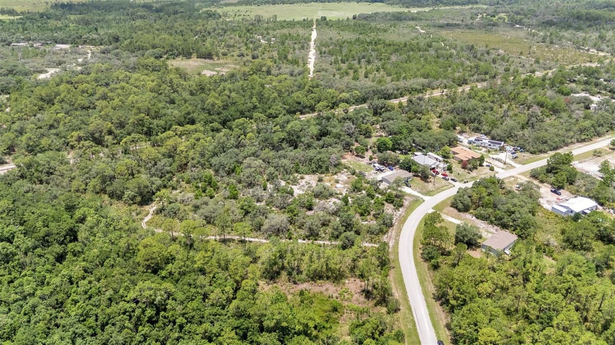 WOODSTORK WAY — photo 11 of 12
