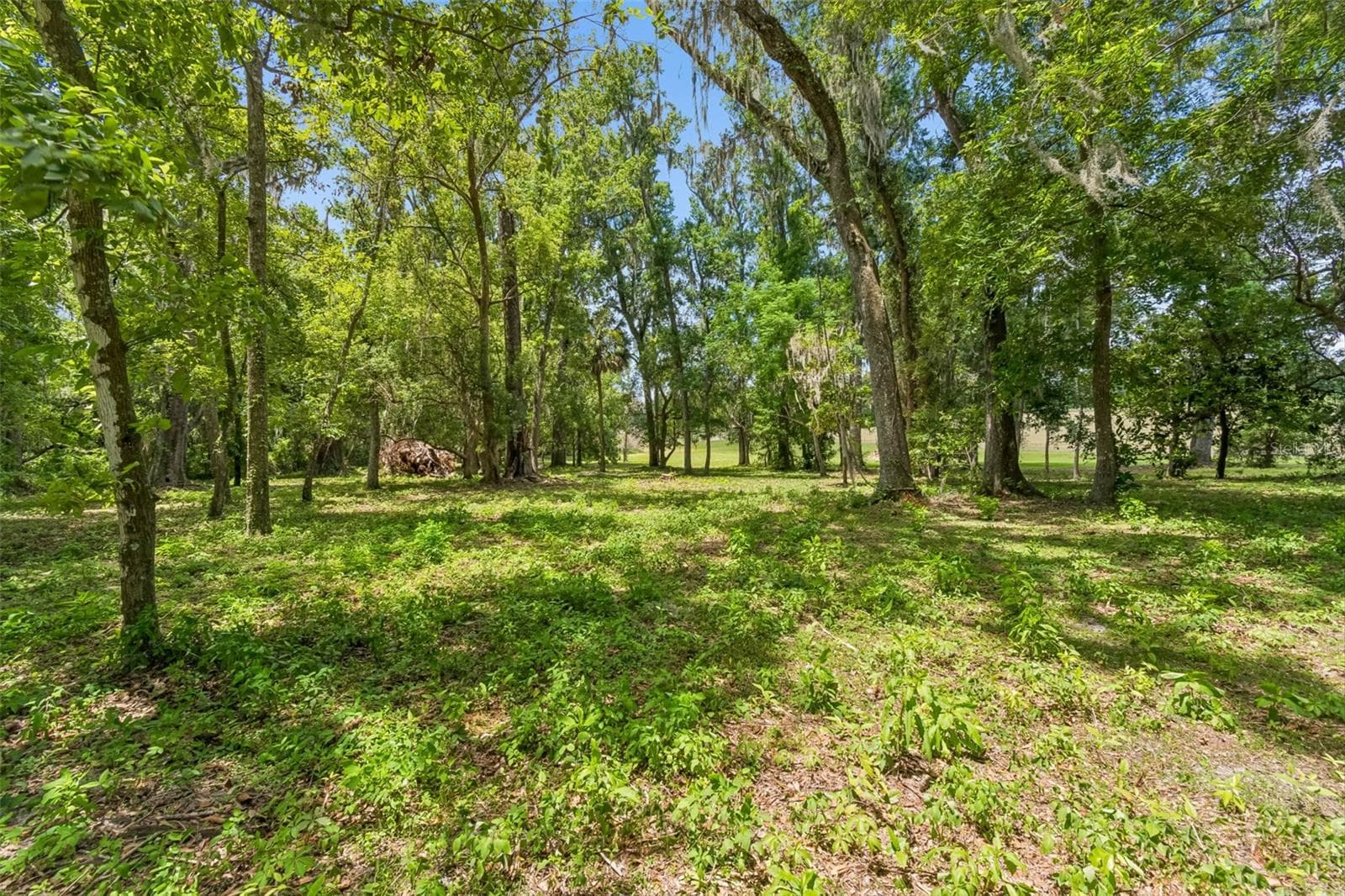 17345 SWEETWATER ROAD — photo 56 of 78