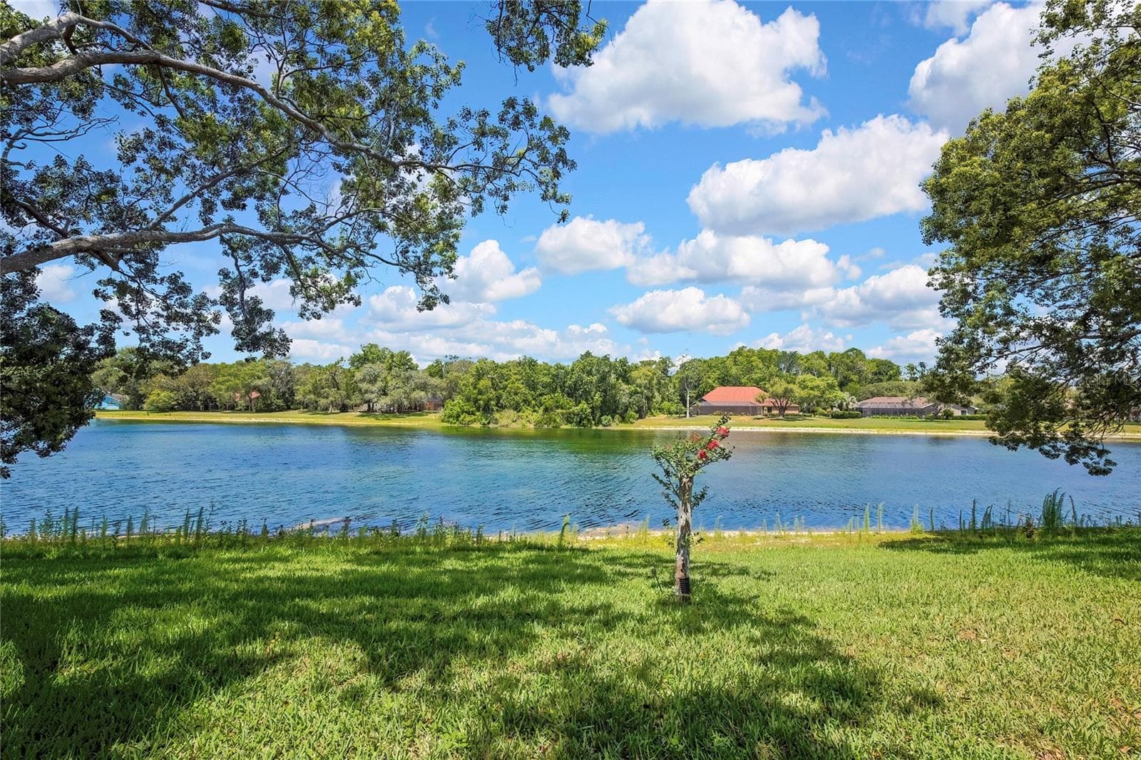4293 RIVER BIRCH DRIVE — photo 63 of 79