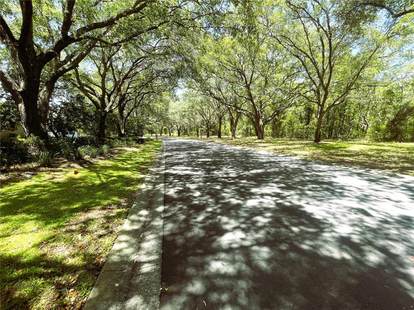 521 HILLWOOD PATH — photo 4 of 17