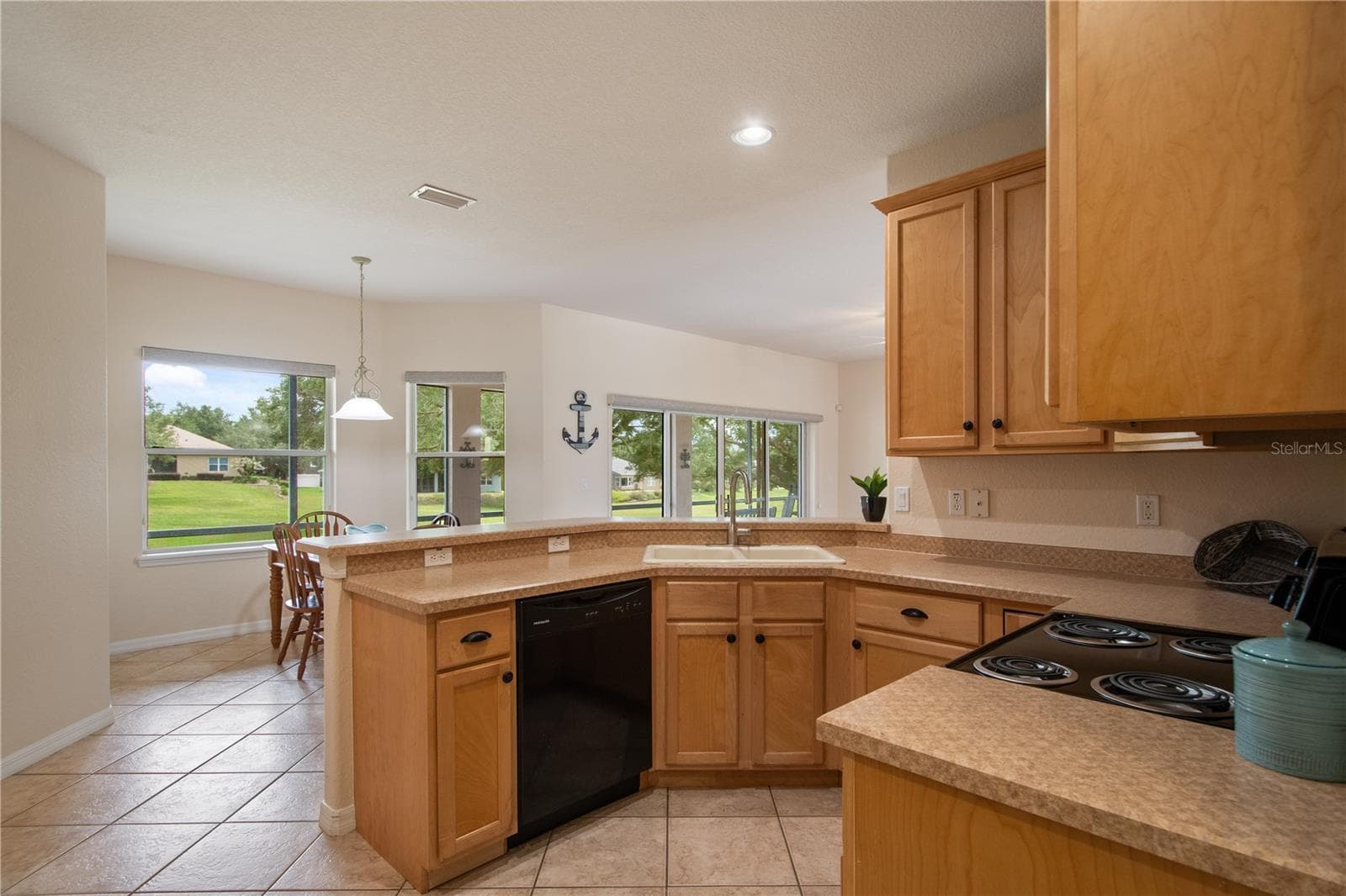 9651 SPRING LAKE DRIVE — photo 36 of 71