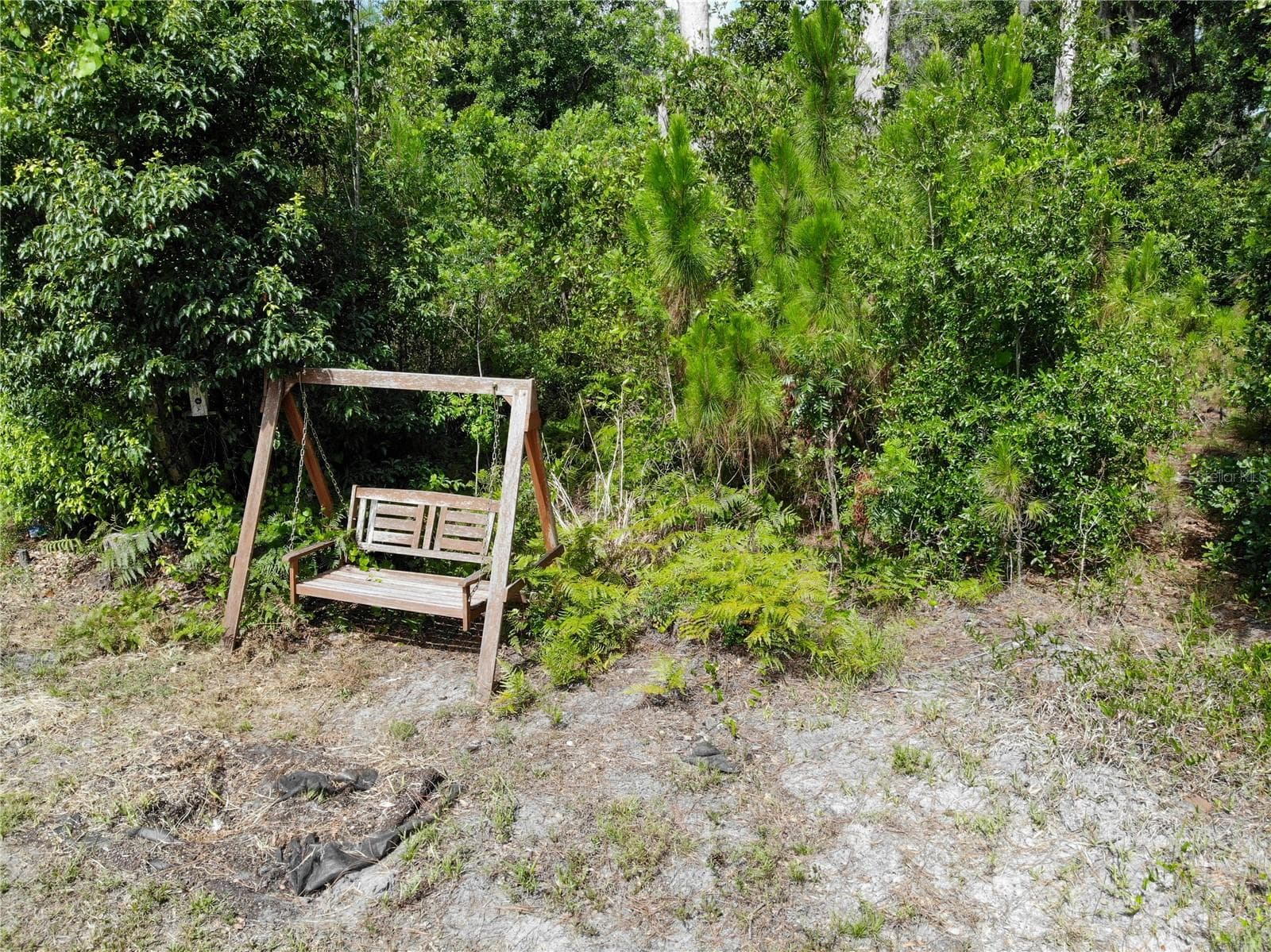 9909 OLD DADE CITY ROAD — photo 43 of 45