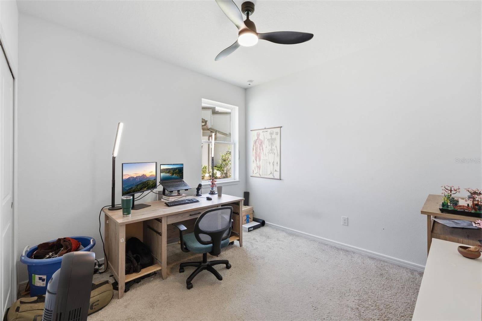 12071 ORCHID ASH STREET — photo 21 of 38