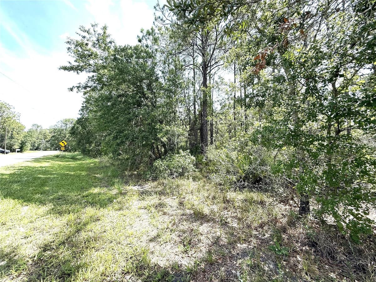 0 LAKE CALOOSA LANDING — photo 3 of 7