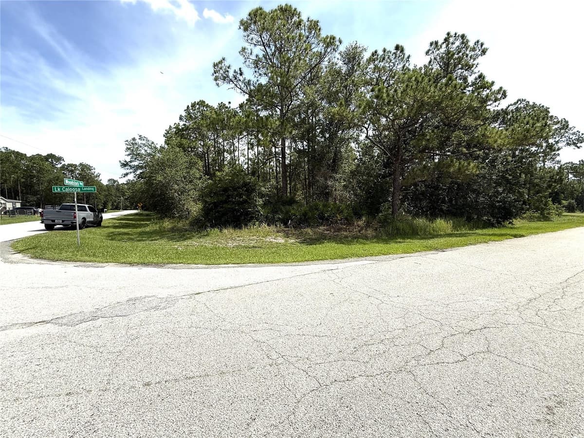 0 LAKE CALOOSA LANDING — photo 2 of 7