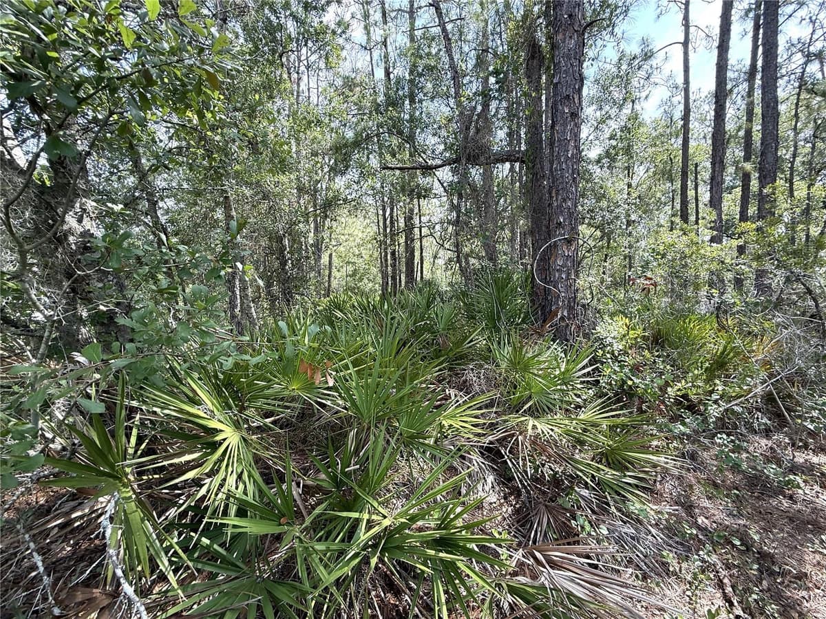 0 LAKE CALOOSA LANDING — photo 6 of 7