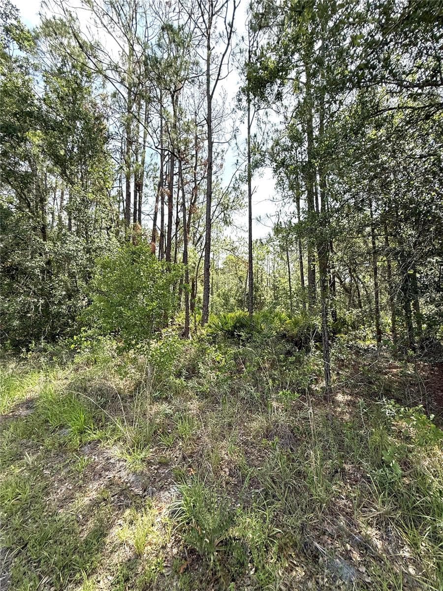 0 LAKE CALOOSA LANDING — photo 7 of 7