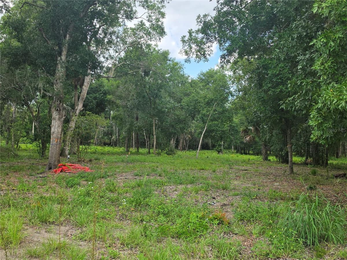180 OAK DRIVE — photo 1 of 11