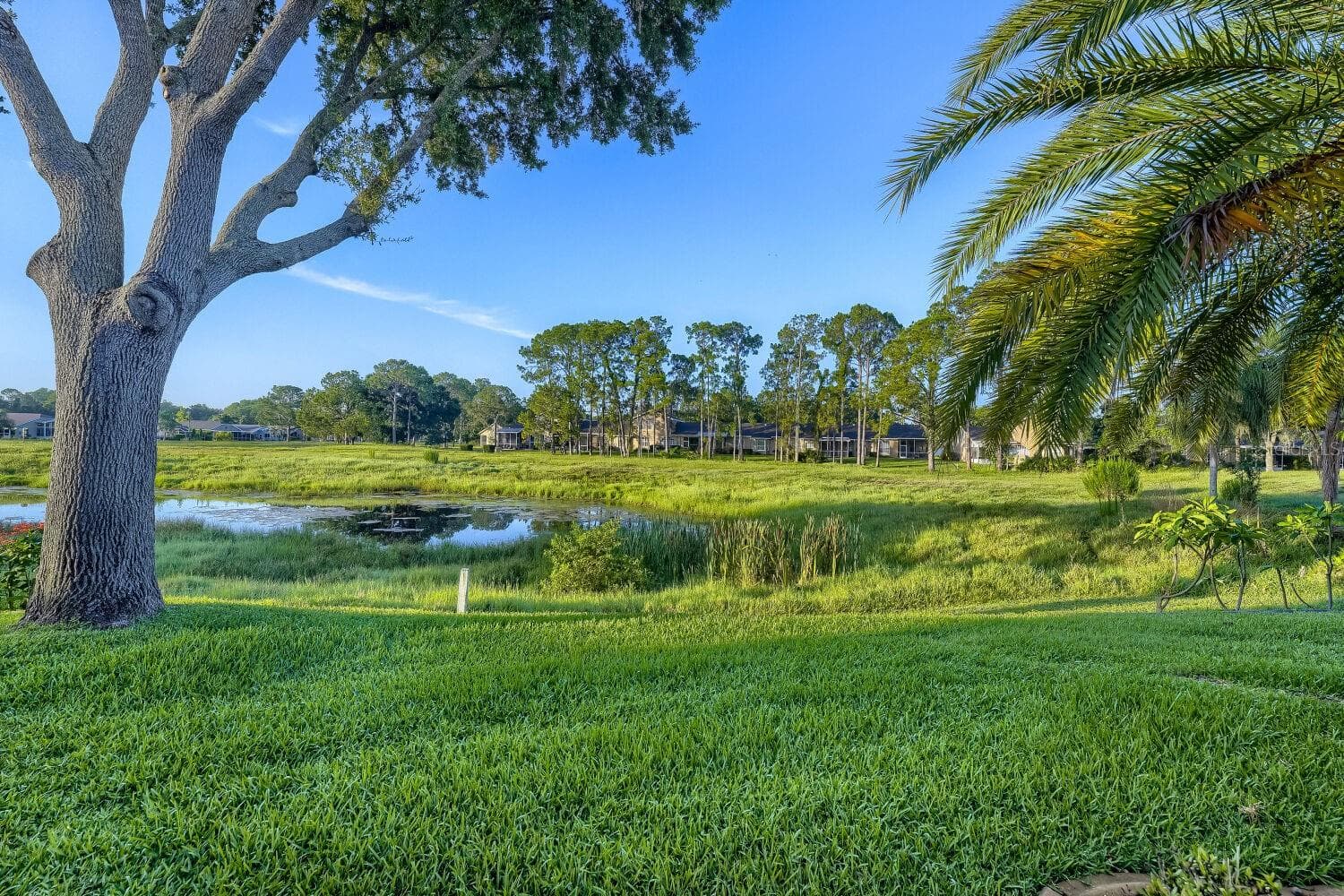 11330 TEE TIME CIRCLE — photo 30 of 34